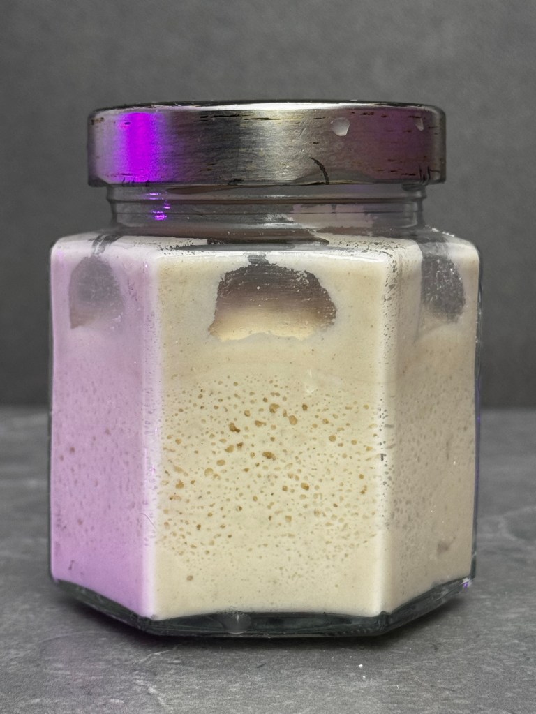 Gluten Free Sourdough Starter